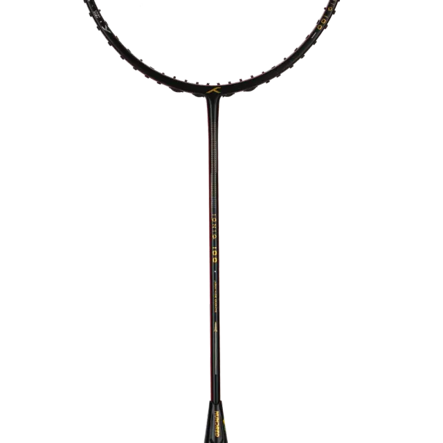 Ioniq 100 - 3U – Hundred