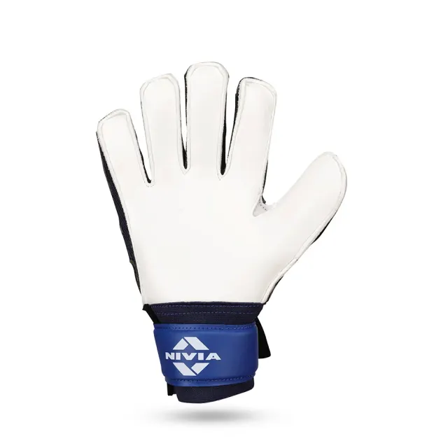 Ditmar Spider – Nivia