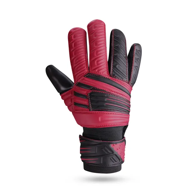 Raptor Torrido – Nivia