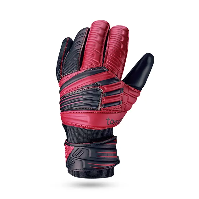 Raptor Torrido – Nivia