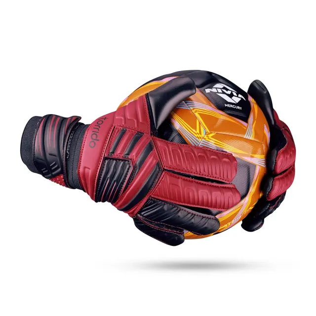 Raptor Torrido – Nivia
