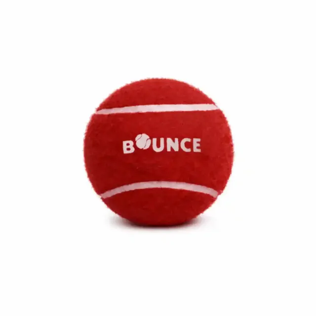 Bounce Heavy Tennis Cricket Ball – SG