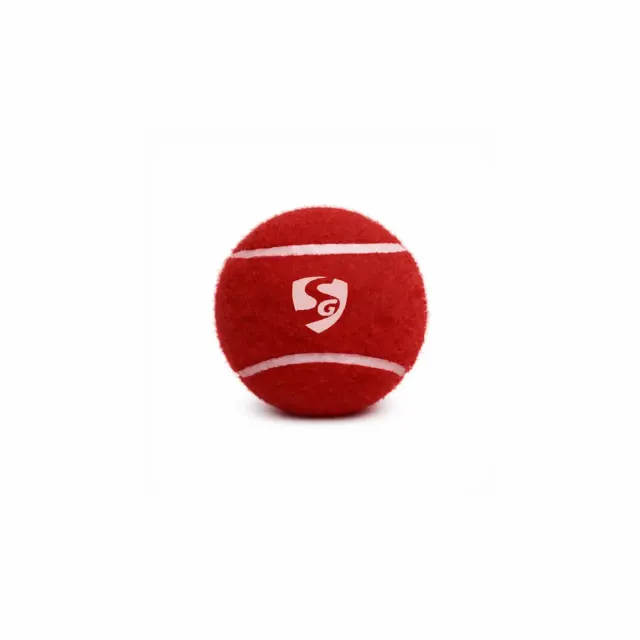 Bounce Heavy Tennis Cricket Ball – SG