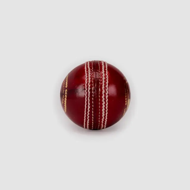 Bouncer Cricket Leather Ball – SG