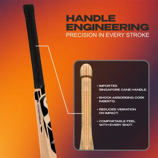 Boundary Xtreme Kashmir Willow Cricket Bat – SG