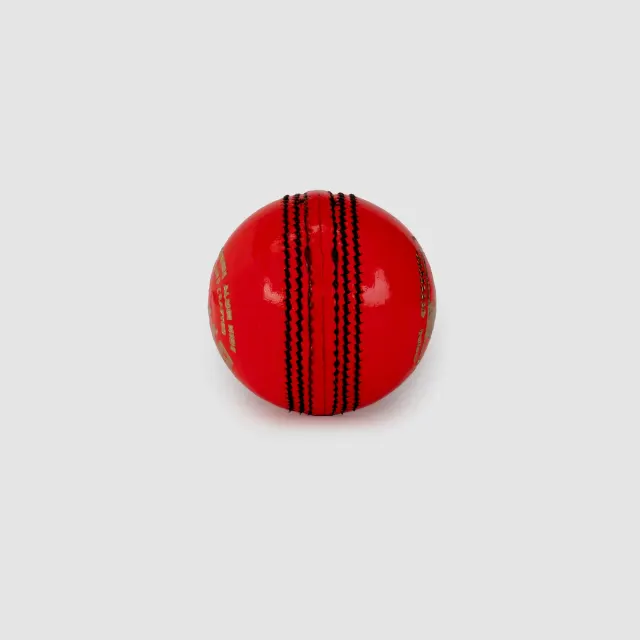 Club Pink Cricket Leather Ball (SG Pink Ball) – SG