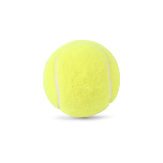Endura Lite Synthetic Ball – SG