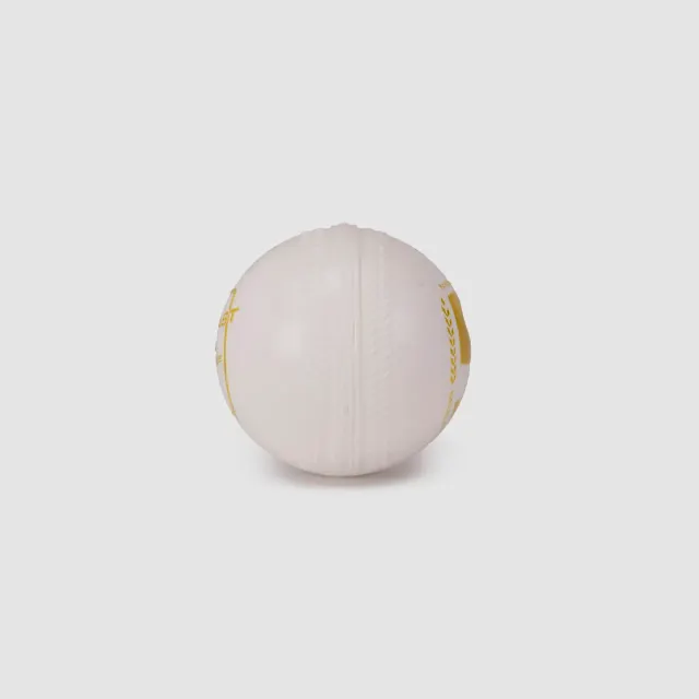 Everlast Tec Synthetic Cricket Ball (White) – SG
