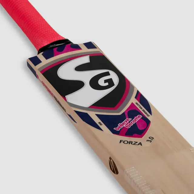 Forza 3.0 English and Kashmir Combo Cricket Bat – SG