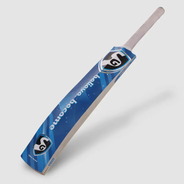 HP Flicker Kashmir Willow Cricket Bat – SG
