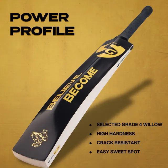 HP Plus Kashmir Willow Cricket Bat – SG