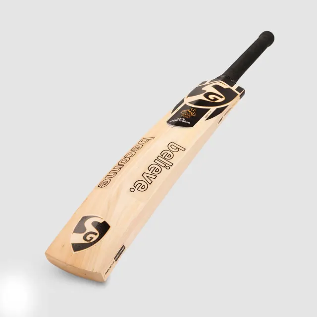 HP Spark Kashmir Willow Cricket Bat – SG