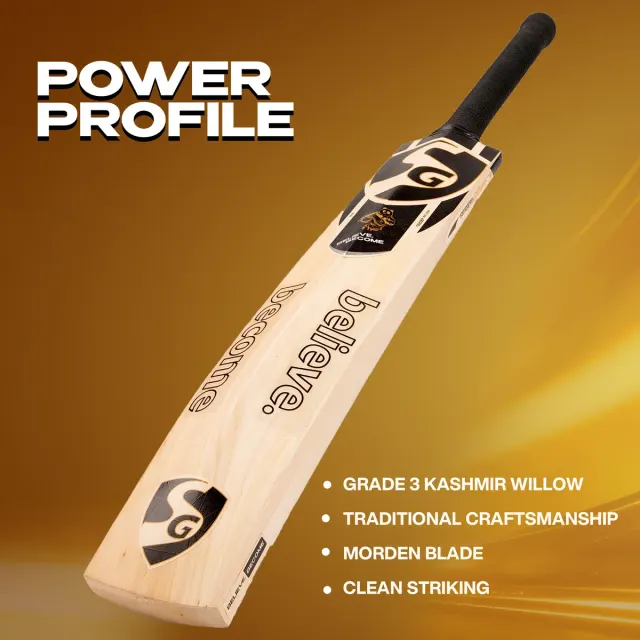 HP Spark Kashmir Willow Cricket Bat – SG
