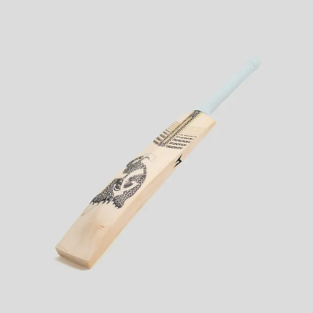 HP33 10 Years X English Willow Cricket Bat – SG