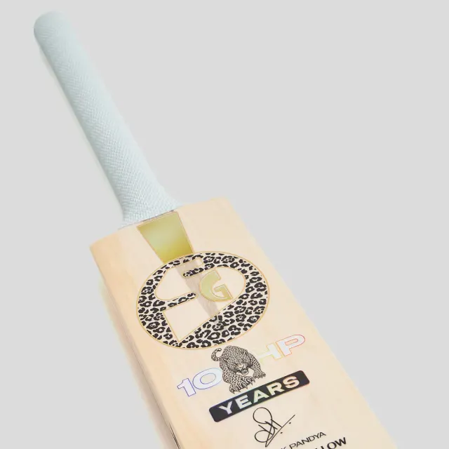 HP33 10 Years X English Willow Cricket Bat – SG