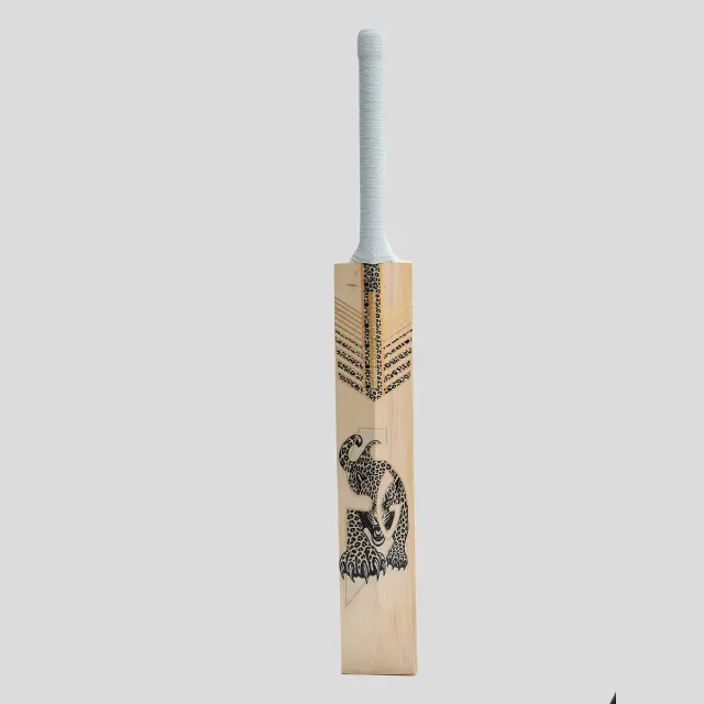 HP33 10 Years X English Willow Cricket Bat – SG