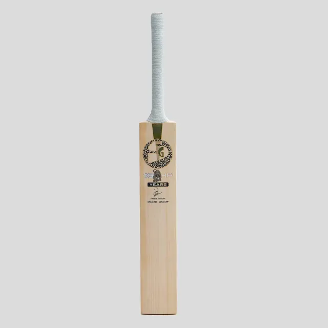 HP33 10 Years X English Willow Cricket Bat – SG