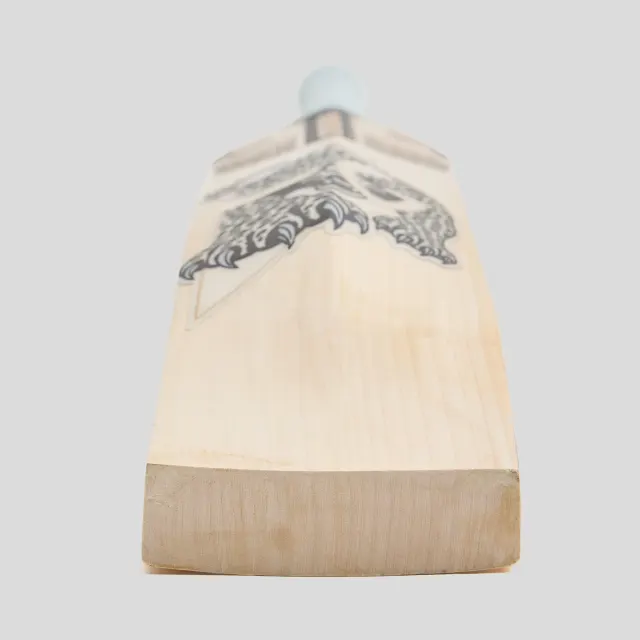 HP33 10 Years X English Willow Cricket Bat – SG