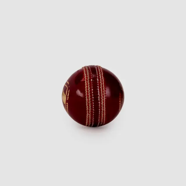 League Cricket Leather Ball – SG