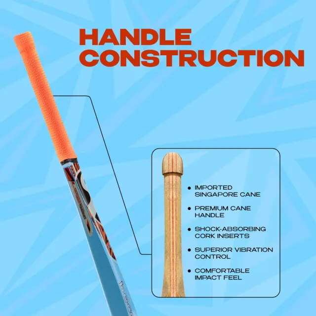 Maxcolor Kashmir Willow Cricket Bat – SG