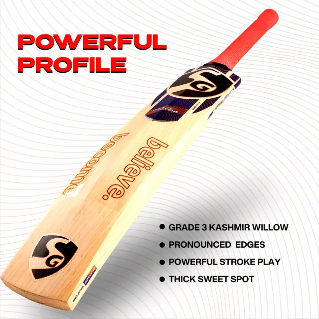 Nexus Plus Kashmir Willow Cricket Bat – SG