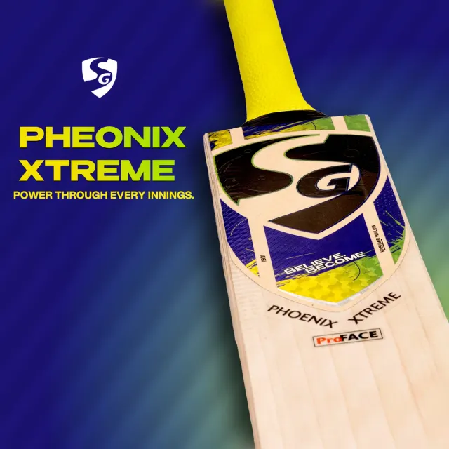 Phoenix Xtreme Kashmir Willow Cricket Bat – SG