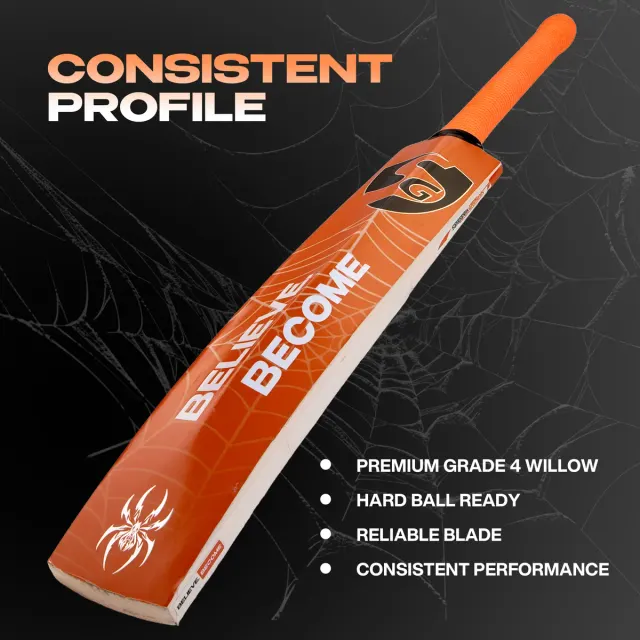 RP Plus Kashmir Willow Cricket Bat – SG