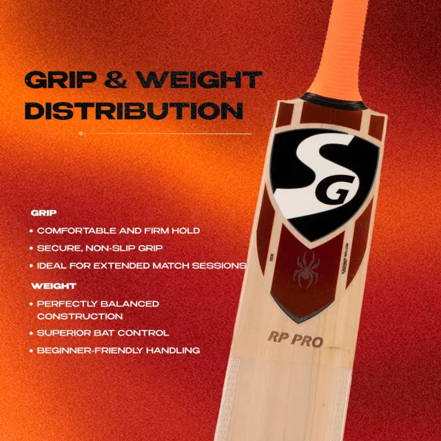 RP Pro Kashmir Willow Cricket Bat – SG