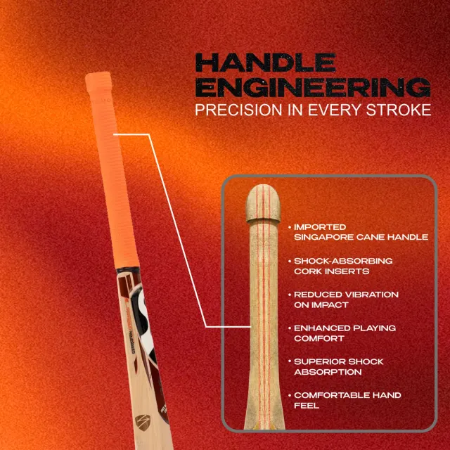 RP Pro Kashmir Willow Cricket Bat – SG