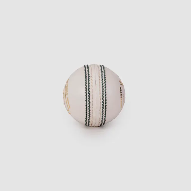 Shield 20 White Leather Cricket Ball – SG