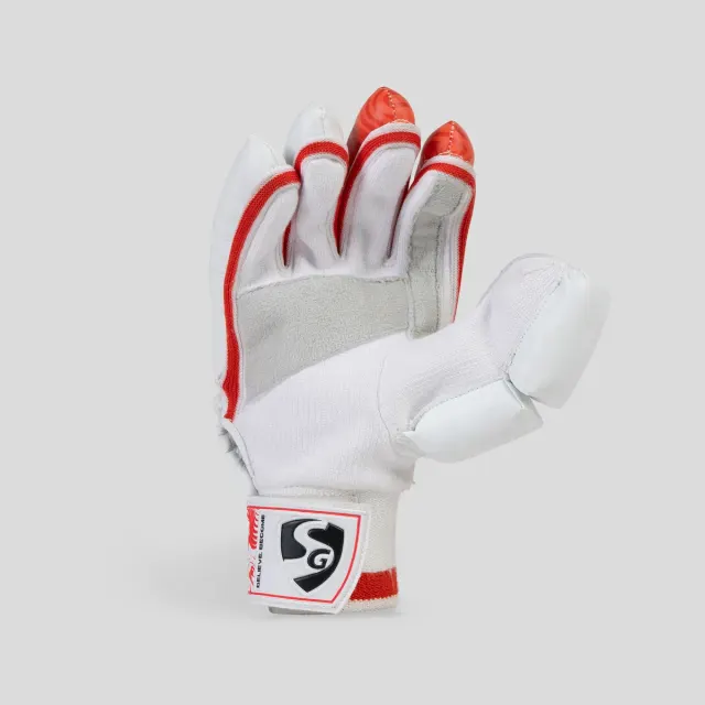 Shield Batting Gloves – SG