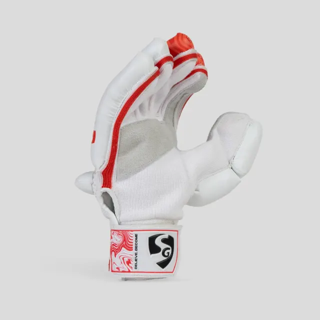 Shield Batting Gloves – SG