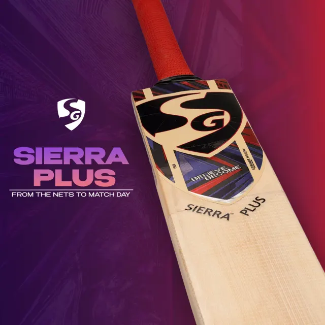 Sierra Plus Kashmir Willow Cricket Bat – SG