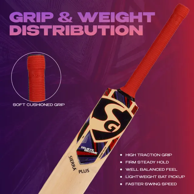 Sierra Plus Kashmir Willow Cricket Bat – SG