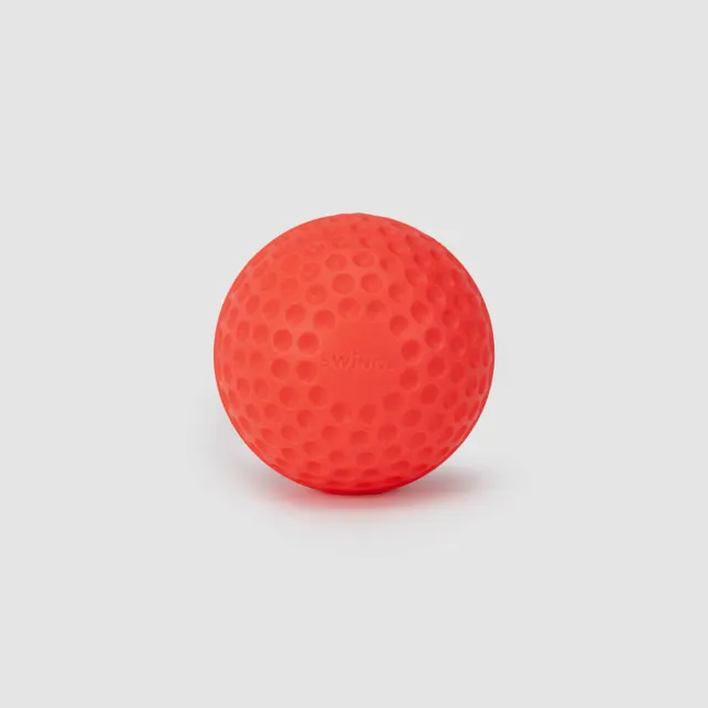 Swinga Cricket Ball (Pink) – SG