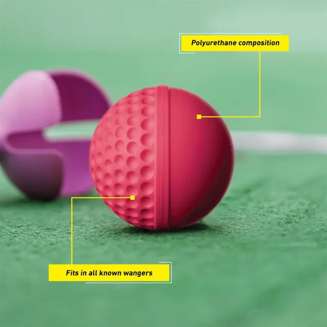 Swinga Cricket Ball (Pink) – SG