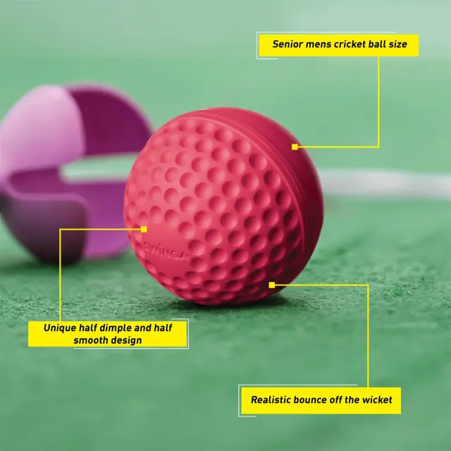 Swinga Cricket Ball (Pink) – SG
