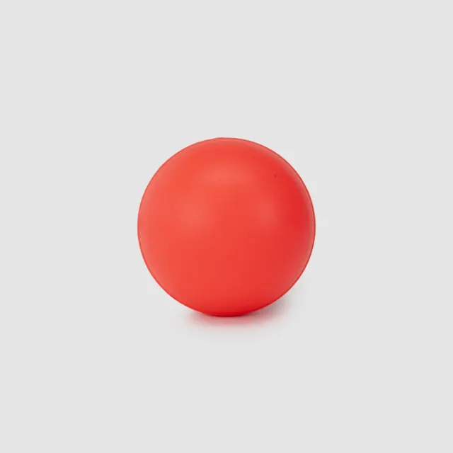 Swinga Cricket Ball (Pink) – SG