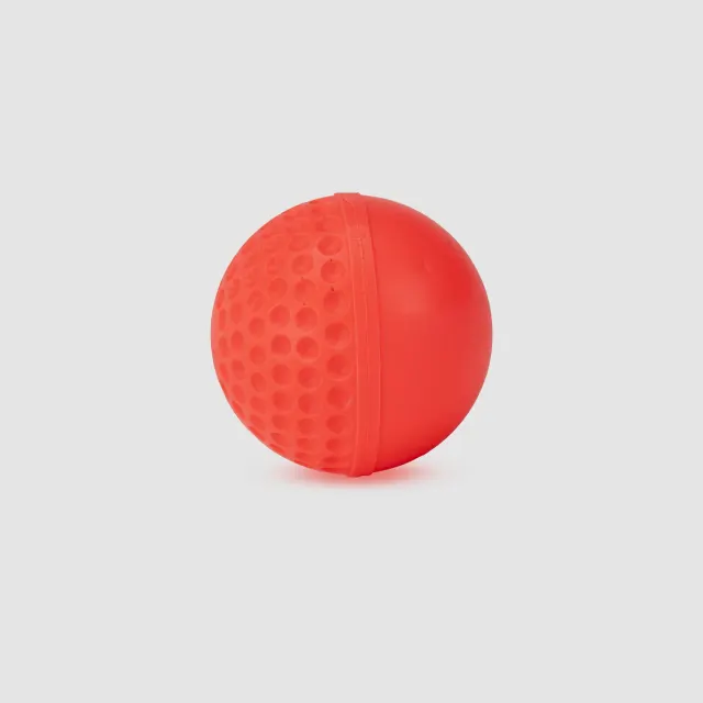 Swinga Cricket Ball (Pink) – SG