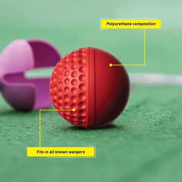 Swinga Cricket Ball (Red) – SG