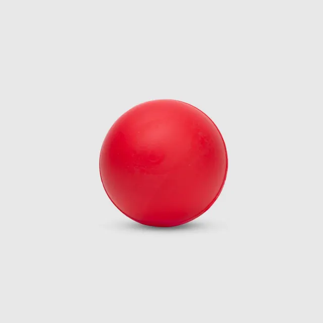 Swinga Cricket Ball (Red) – SG