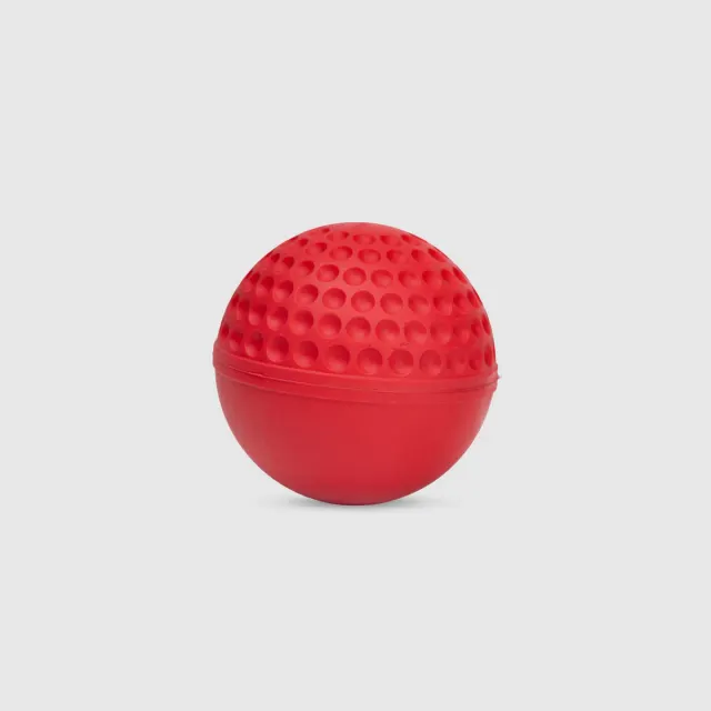 Swinga Cricket Ball (Red) – SG