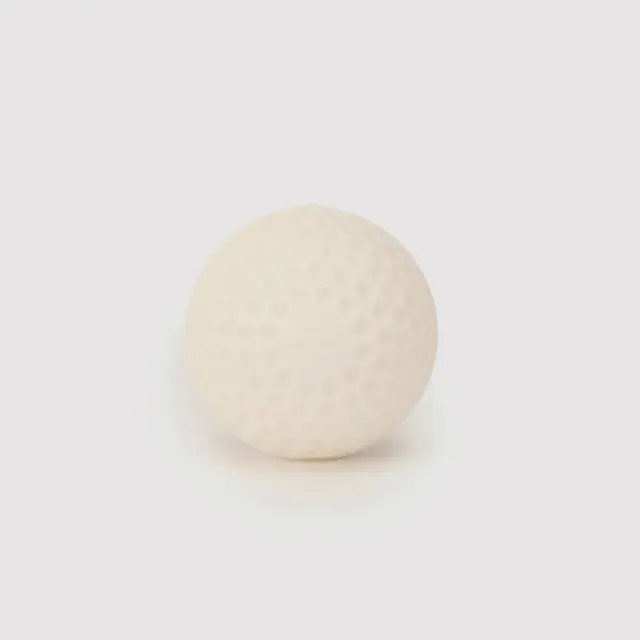 Swinga Cricket Ball (White) – SG