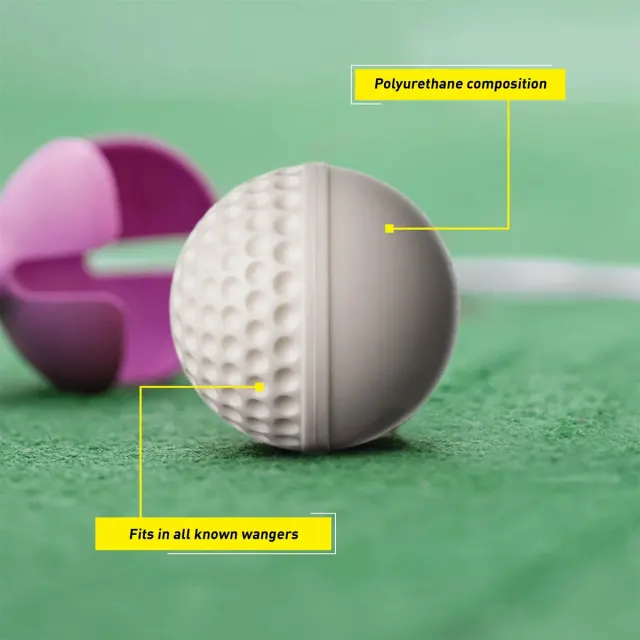 Swinga Cricket Ball (White) – SG