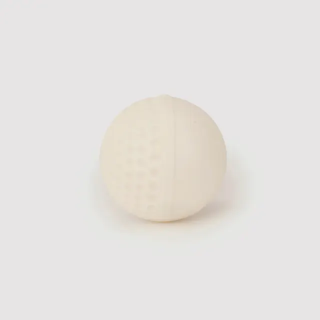 Swinga Cricket Ball (White) – SG