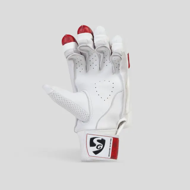 Test Batting Gloves – SG