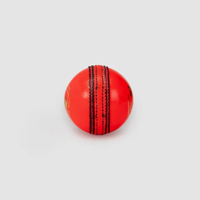 Test Pink Leather Cricket Leather Ball – SG