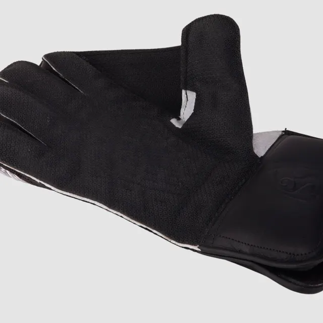 Test Wicket Keeping Gloves – SG