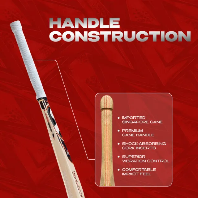 Titan 1.0 Kashmir Willow Bat – SG
