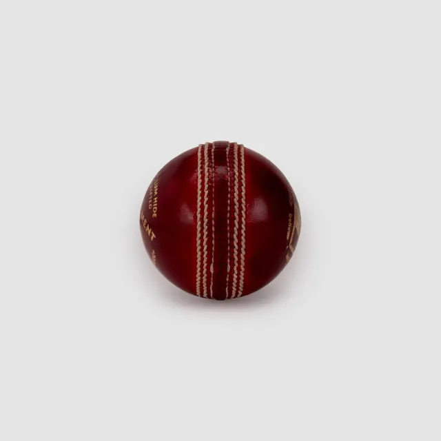 Tournament Special Cricket Leather Ball – SG